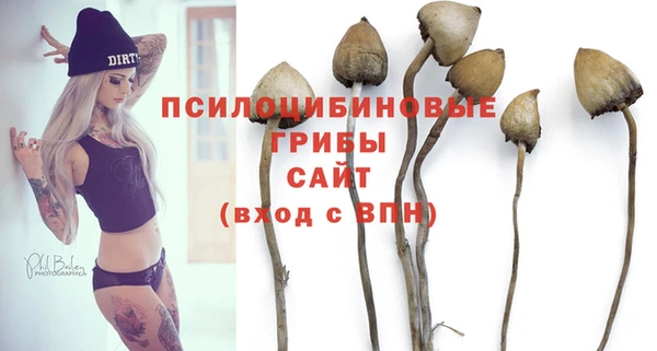 стафф Белокуриха