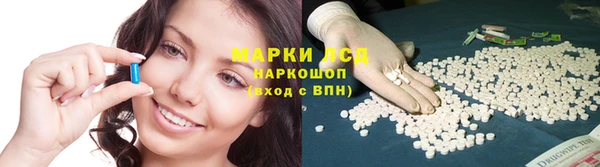 стафф Белокуриха