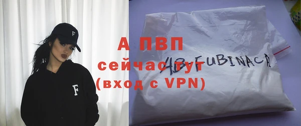 стафф Белокуриха