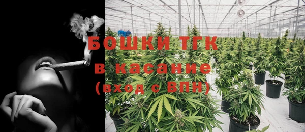 дживик Балахна