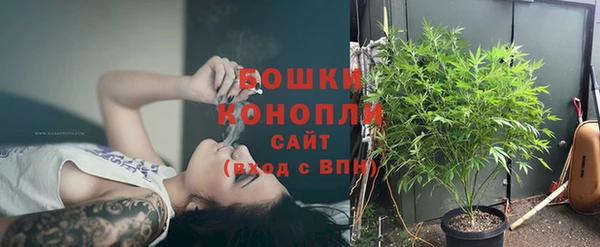 стафф Белокуриха