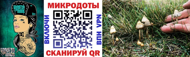 Псилоцибиновые грибы ЛСД Верхний Уфалей